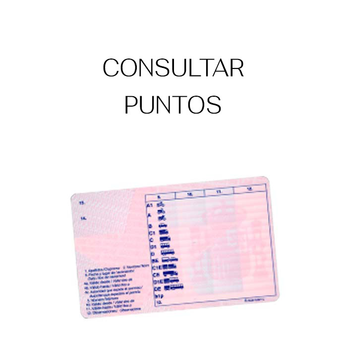 consultar-puntos-autoescuelasJoaquin-av
